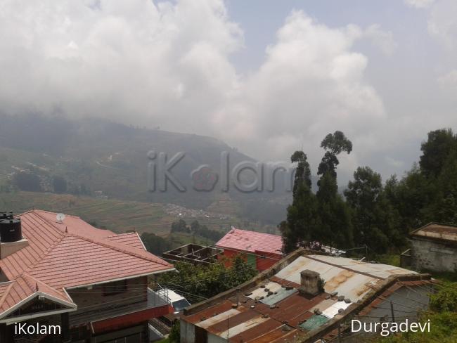 dd kodaikanal flowers 4 -