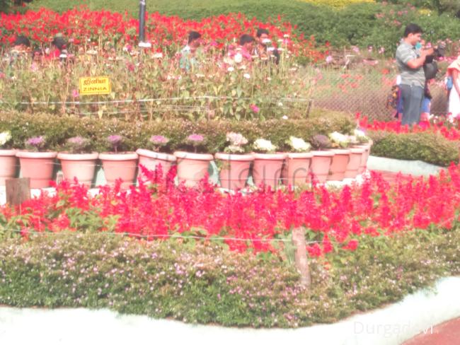 kodaikanal scenery - 