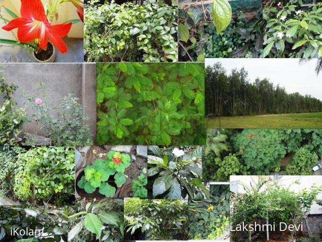 spring season ! - 