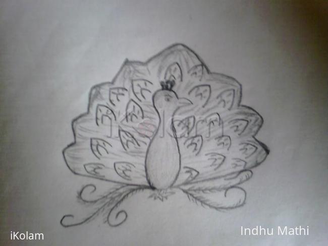 Rangoli: Rangoli Peacock