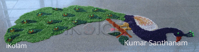 Rangoli: Color of Deepawali - 4