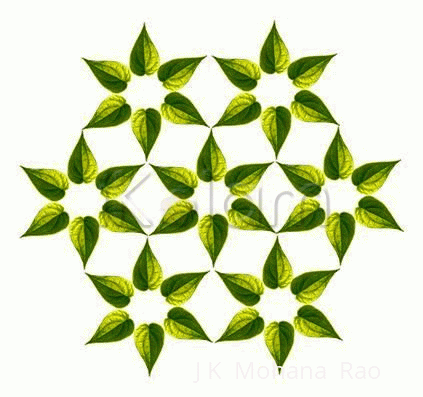 Rangoli: Beetle leaves Rangoli Rangoli: Beetle leaves Rangoli