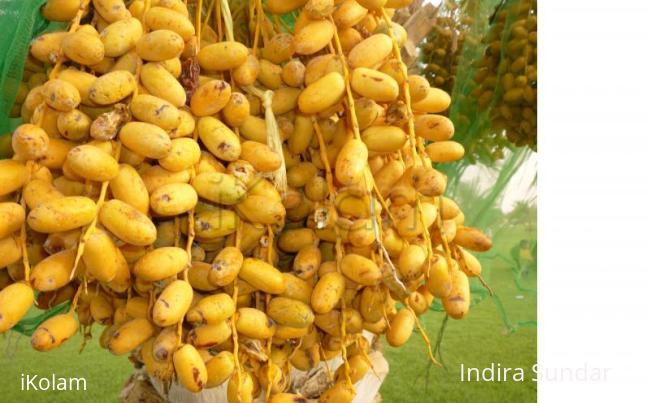 Rangoli: Dates