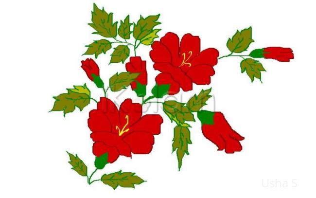 Rangoli: Hibiscus