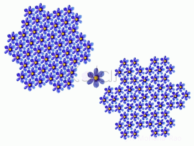 Rangoli: Flower with six petals! Rangoli: Flower with six petals!