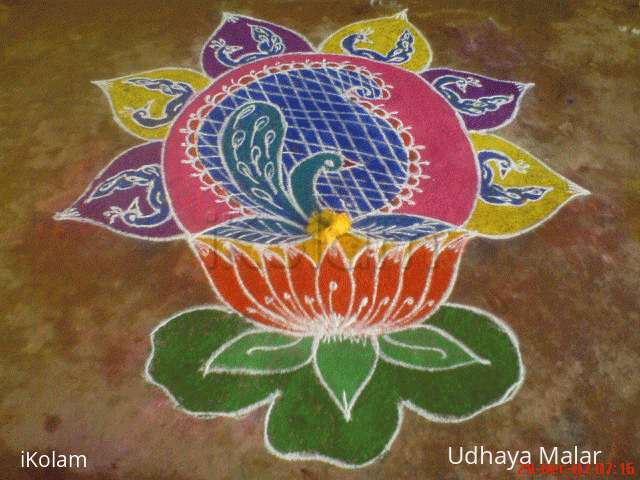 Rangoli: The blue Peacock