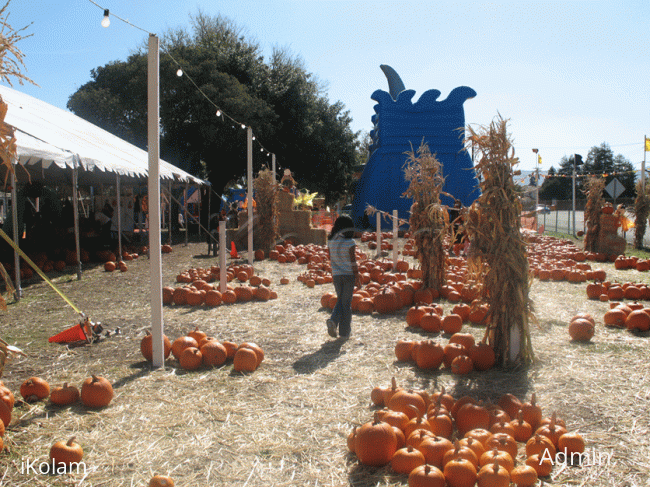 Rangoli: Pumpkin Patch