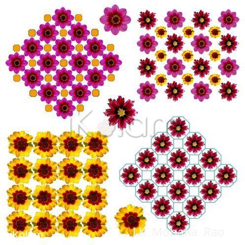 Rangoli: Coreopsis - A flower with an approximate eight-fold symmetry Rangoli: Coreopsis - A flower with an approximate eight-fold symmetry