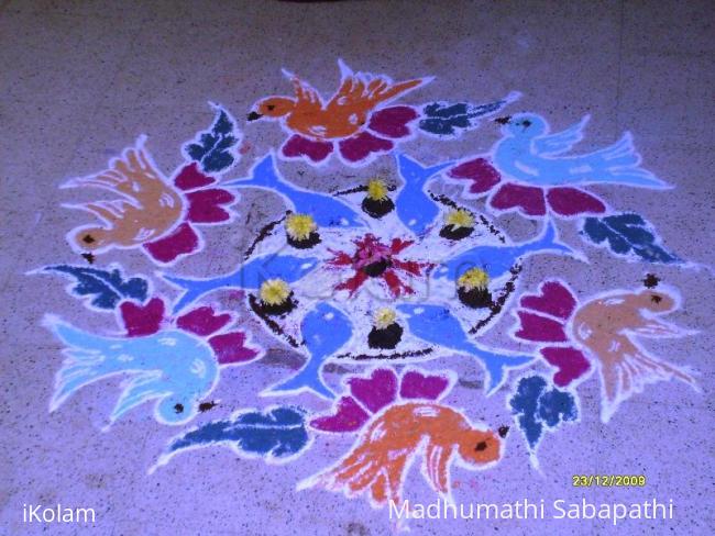 Rangoli: sirakadikkum paravaikalum Thullum meenkalum