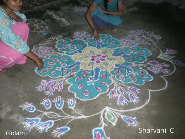 Rangoli:  Peacock Design (sharu)