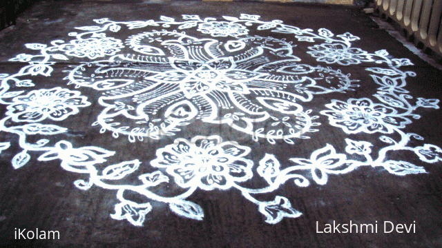 Rangoli: Rangoli - 5