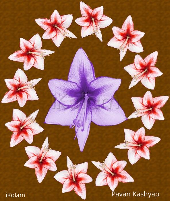 Rangoli: amaryllis-let's get growing