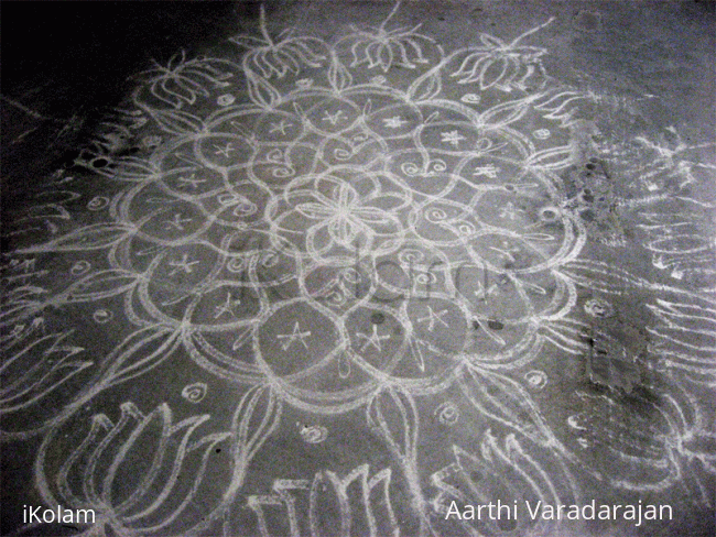 Rangoli: Lotus Rangoli: Lotus