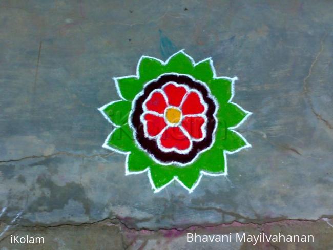 Rangoli: apartment margazhi Rangoli: apartment margazhi