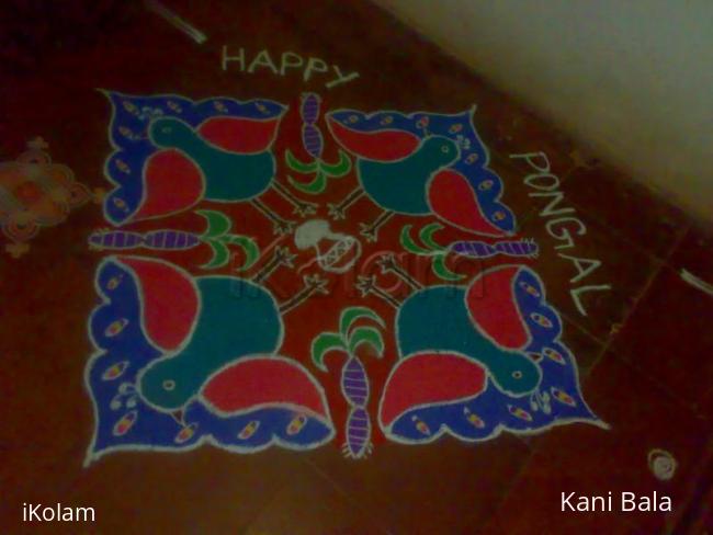 Rangoli: Peacock rangoli for pongal Rangoli: Peacock rangoli for pongal