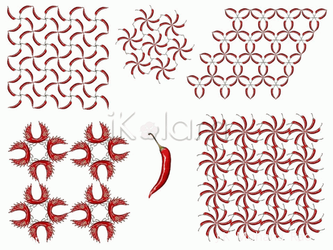 Rangoli: Chili Flowers! Rangoli: Chili Flowers!
