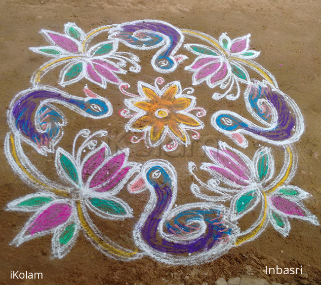 Rangoli: beauty swans 