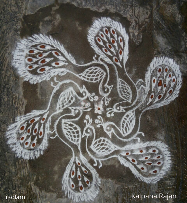 Rangoli: Peacock title Rangoli: Peacock title