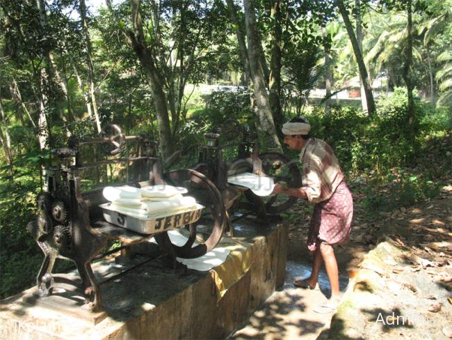 Rubber plantation - rubberman.jpg