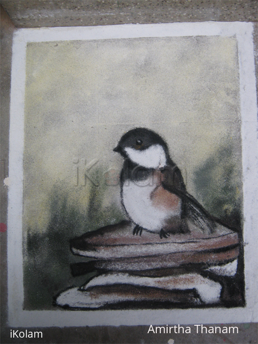 Sparrow - iKolam Sparrow - iKolam