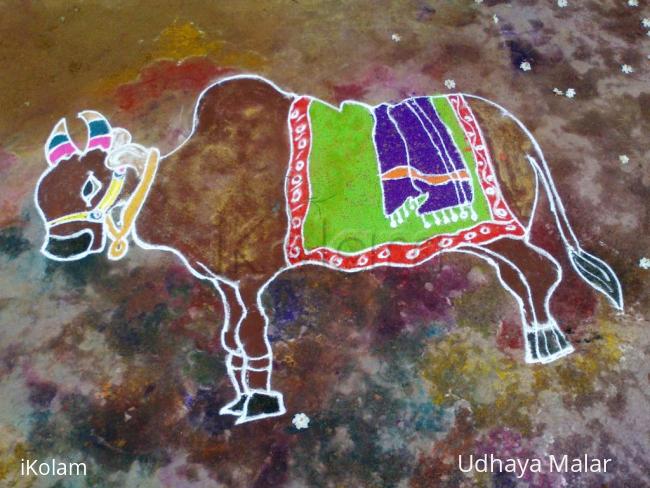 Rangoli: Komatha Kolam
