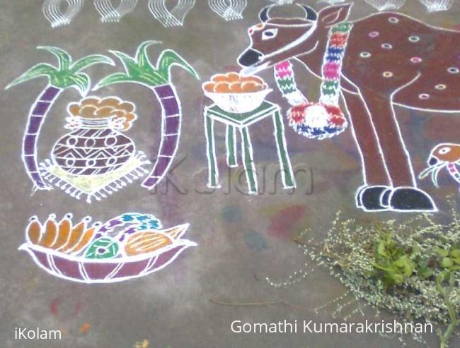 Rangoli: Mattu Pongal Kolam 1 (Part-2)