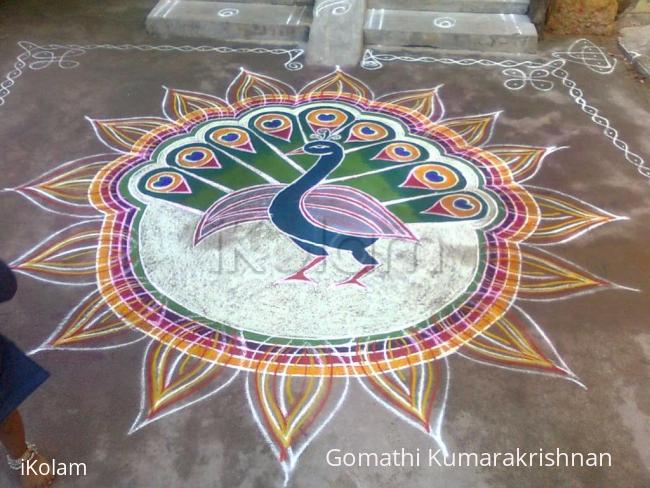 Rangoli: Peacock