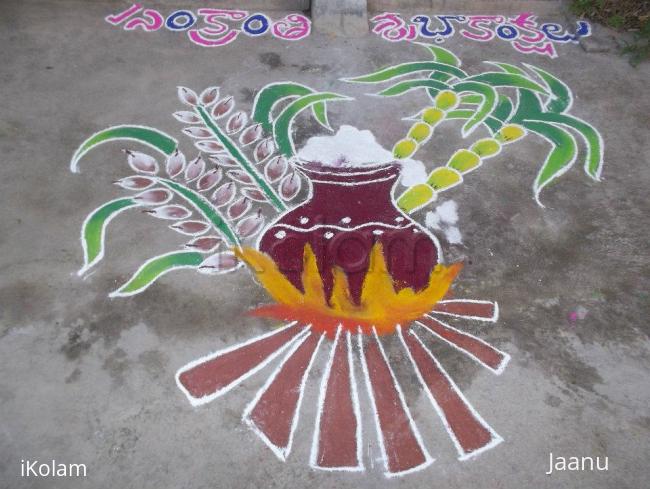 Rangoli: Pongal Kolam