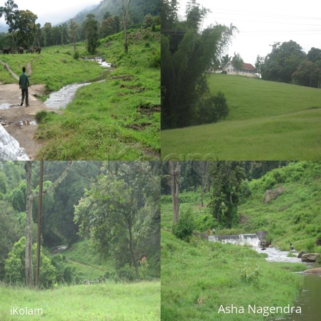 Parambikulam forest in Kerala - tour 2.jpg