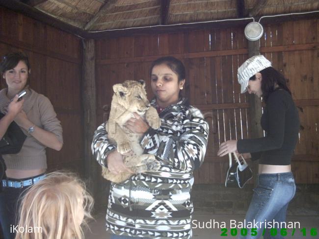 cub - PICT0017.JPG