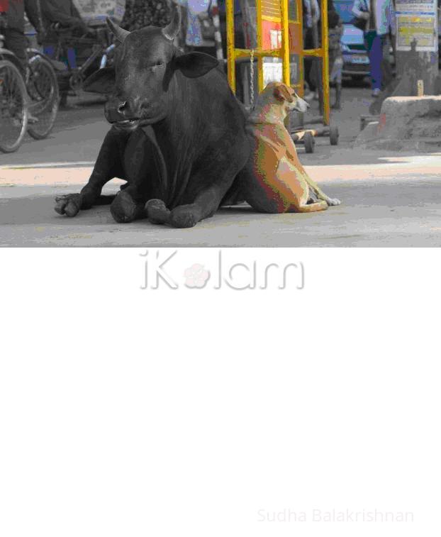 PICT 5 - PICT5.JPG