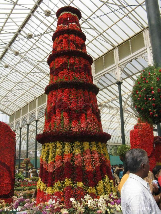 Lalbhag Flower Show - Jan 10 - IMG_2263.jpg