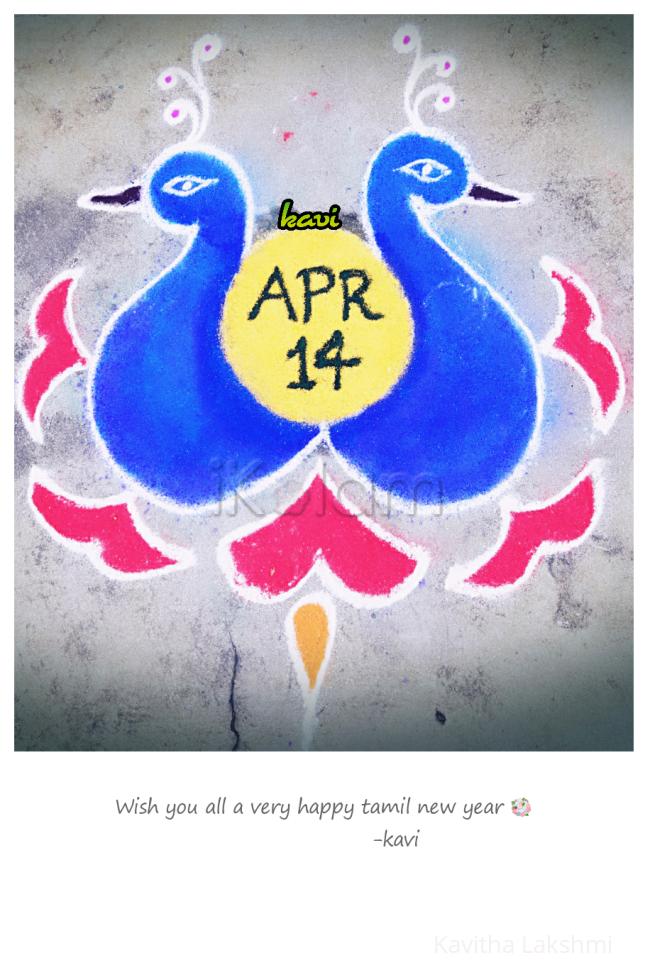 Rangoli: Twin peacocks
