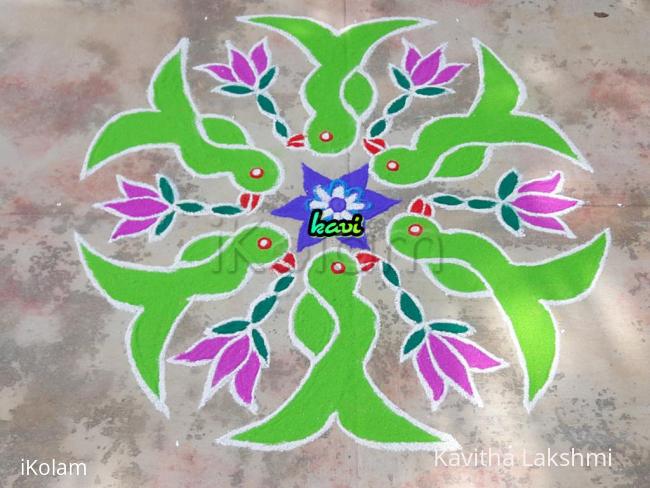 Rangoli: Parrot kolam Rangoli: Parrot kolam