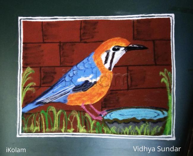 Navarathri Rangoli - iKolam