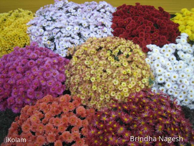 Wnter Flower Show - flower_show 144.JPG
