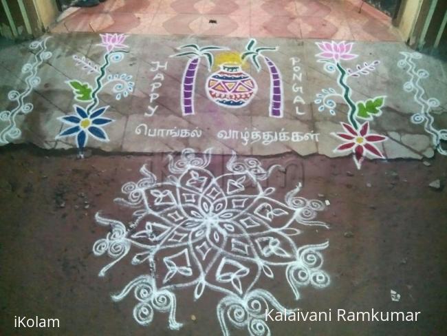 Rangoli: Pongal kolam