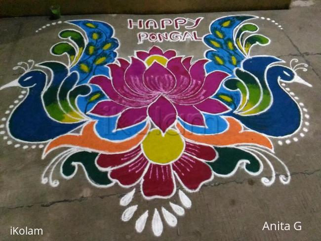 Rangoli: Pongal kolam