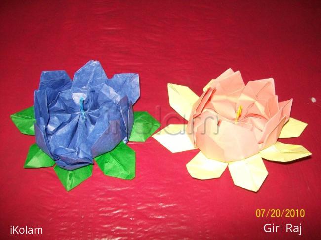 Lotus flower - 100_3399.JPG