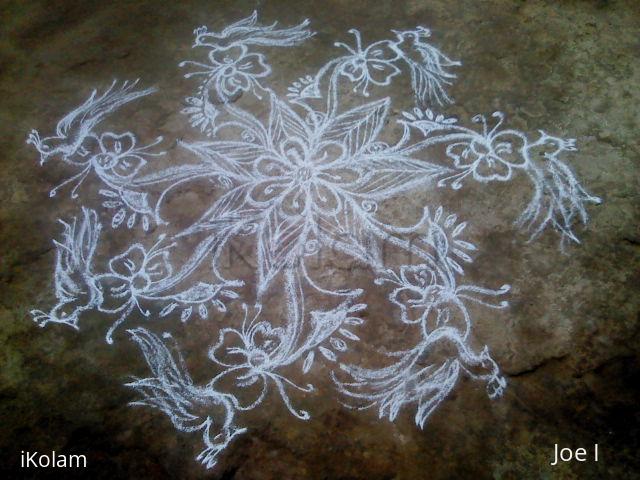 Rangoli: dafodills