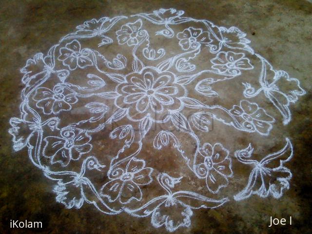 Rangoli: birds