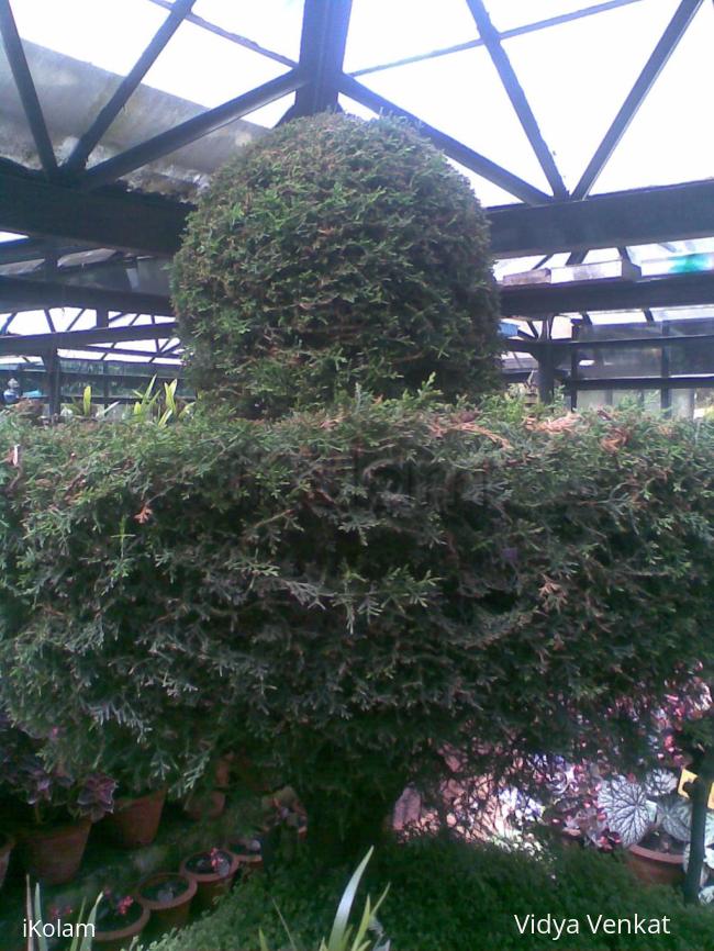 greenery - f32.jpg