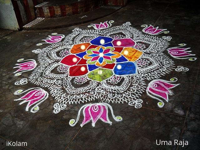 Rangoli: marghali 16