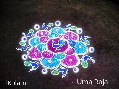Rangoli: national birds day Rangoli: national birds day