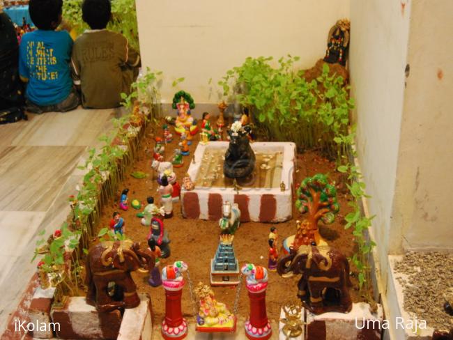 golu doll purchase - papu.jpg