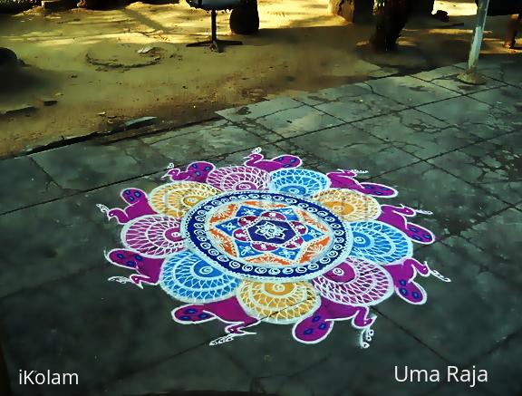 Rangoli: peacock parade