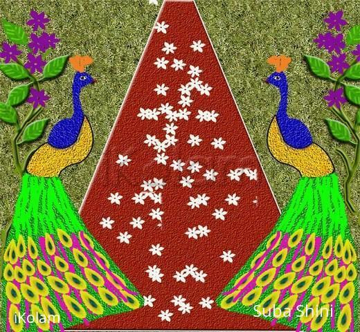 Rangoli: peacock rangoli