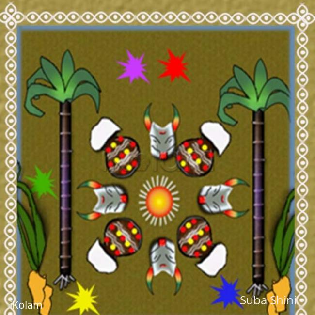 Rangoli: pongal kolam Rangoli: pongal kolam