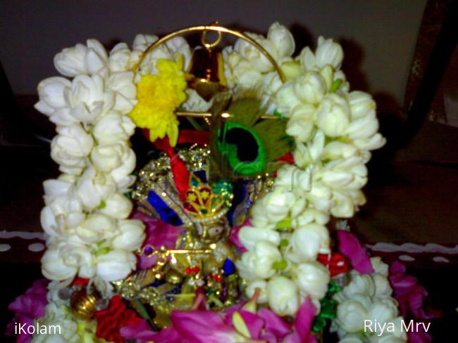 Gokulashtami 2010 - 13082009050.jpg