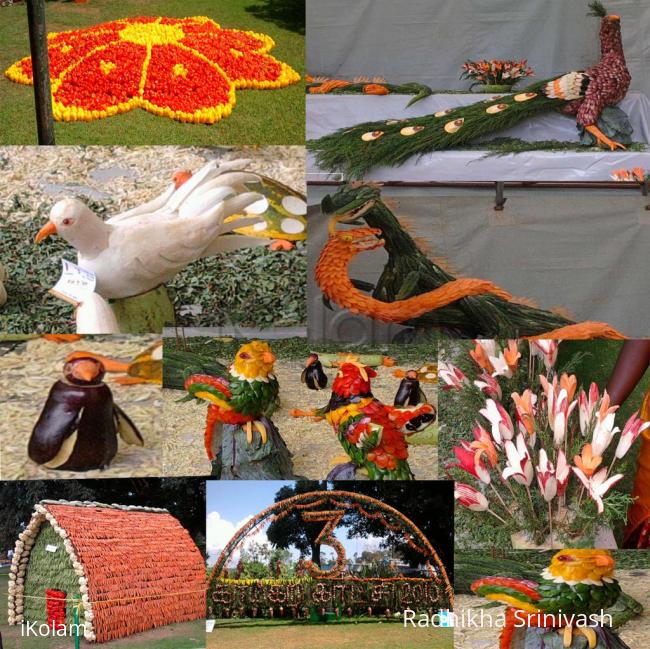 vegetable show ooty - 3 rd vegetable exhibition ooty.jpg